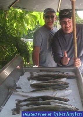 Click to Enlarge Photo