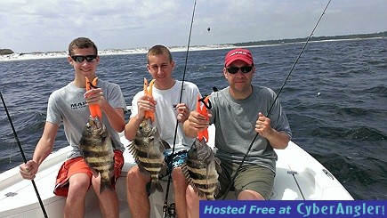 Sheepshead