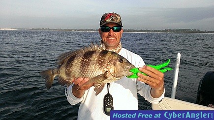 Sheepshead