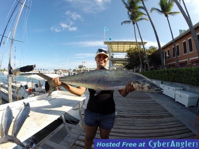 Click to Enlarge Photo