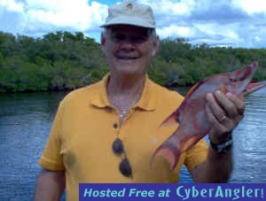 TerryHopkins-hog