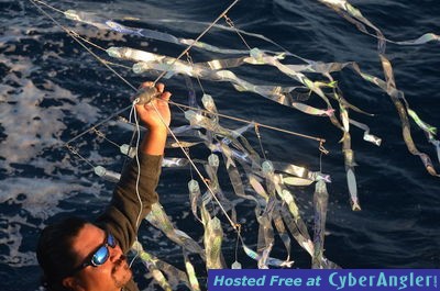 Click to Enlarge Photo