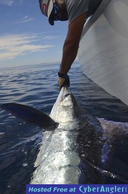 Click to Enlarge Photo