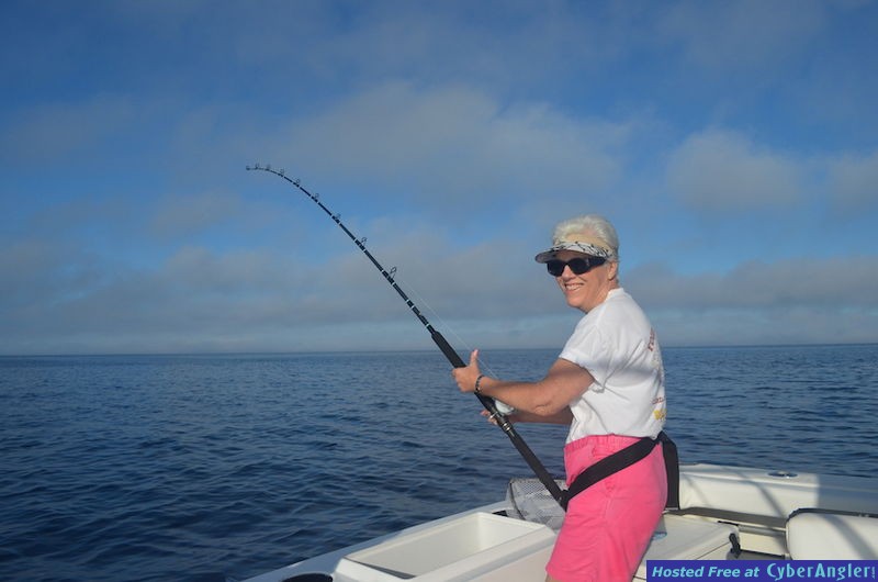 Click to Enlarge Photo