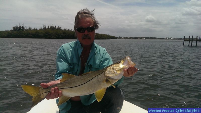 One of tons of snook