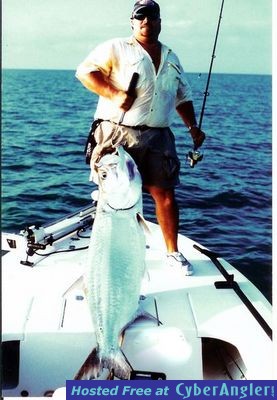 Typical hundred plus pounder tarpon off Sanibel