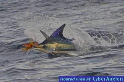 Click to Enlarge Photo