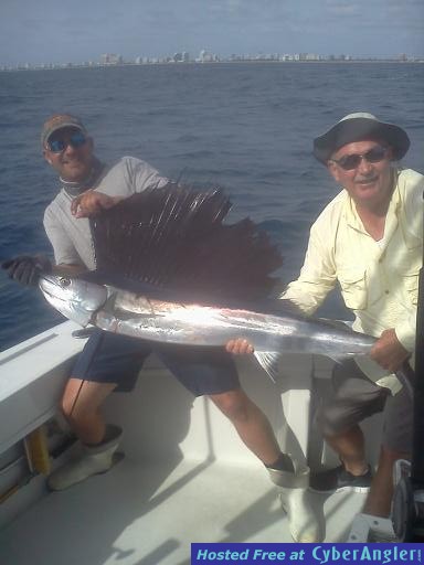 Sailfish_Ken
