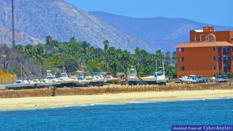 Click to Enlarge Photo