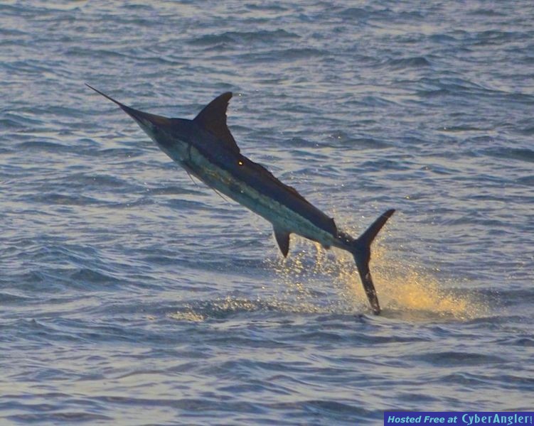 Click to Enlarge Photo