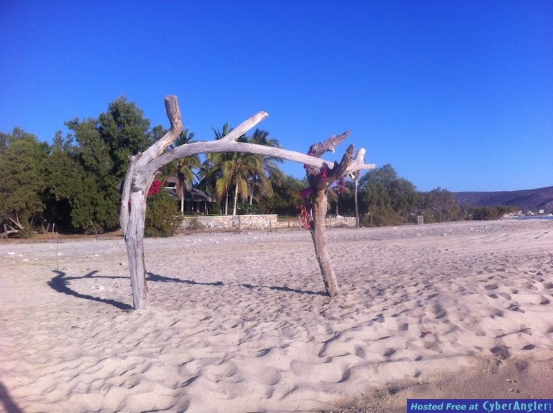 Click to Enlarge Photo