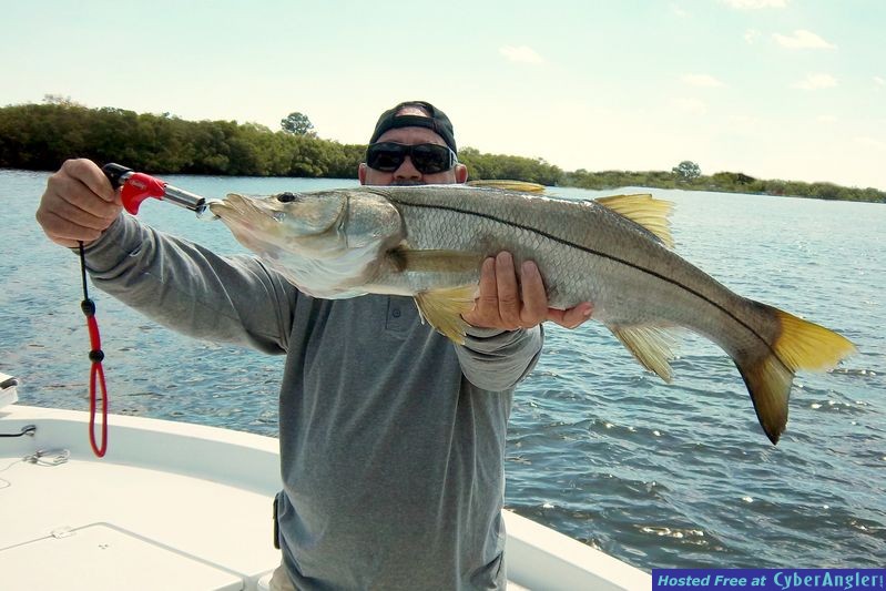 Snook23