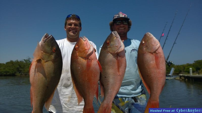 Click to Enlarge Photo