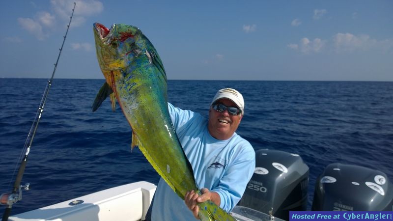 Click to Enlarge Photo