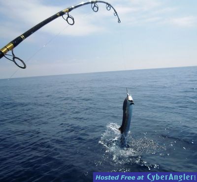 Click to Enlarge Photo