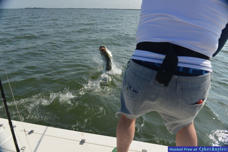 Tarpoons.com