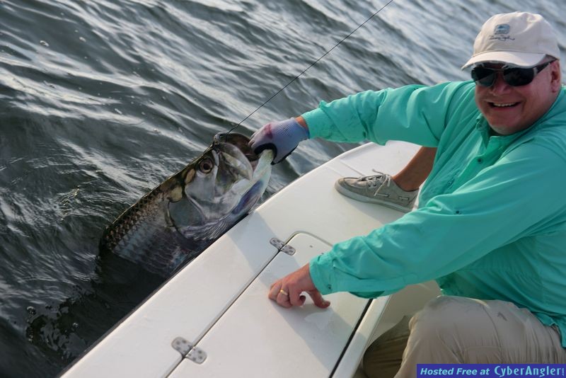Tarpon