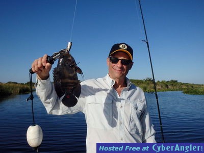 Click to Enlarge Photo