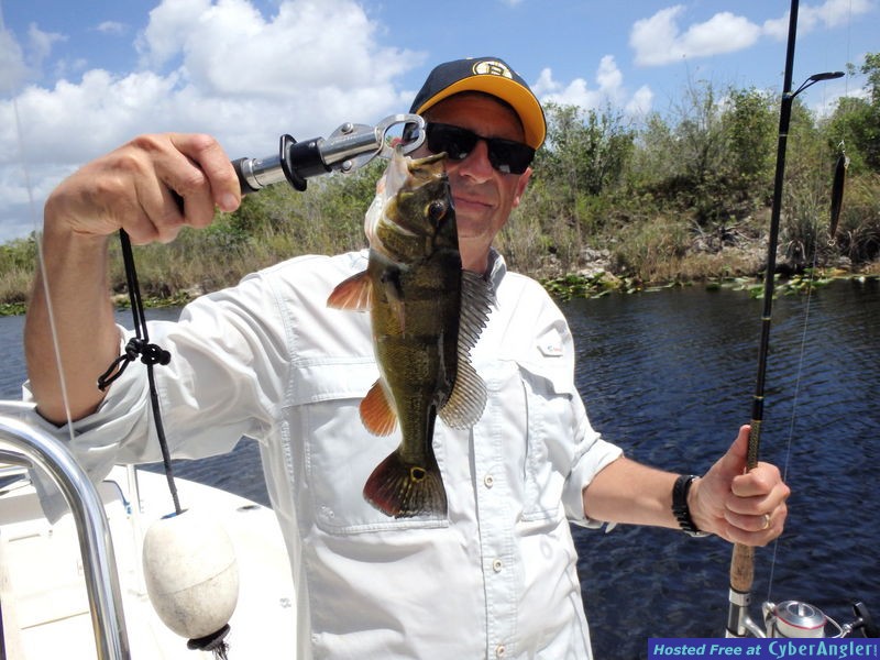 David_n_peacock_bass
