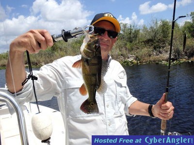 Click to Enlarge Photo