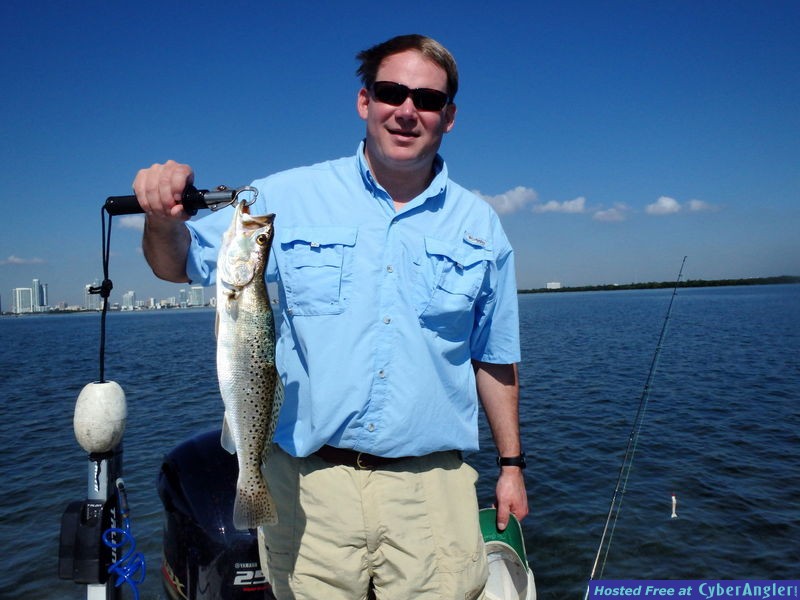 Les_n_sea_trout