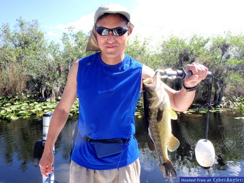 P_Y_n_largemouth_bass_2