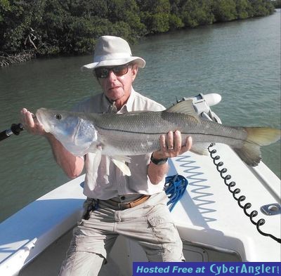 36 inch snook in Naples Backwaters with Capt. Todd Geroy