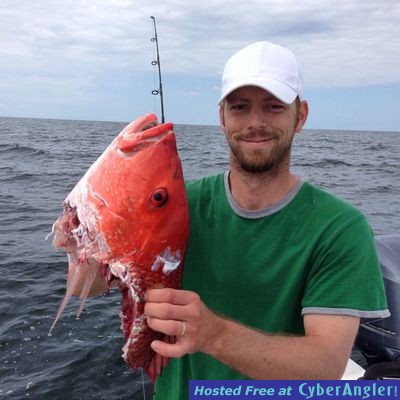 Click to Enlarge Photo