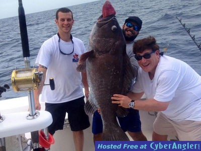 60 lb Warsaw Grouper