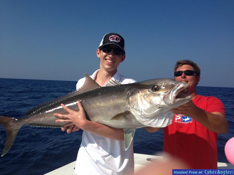 Amberjack