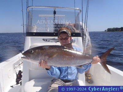 Click to Enlarge Photo