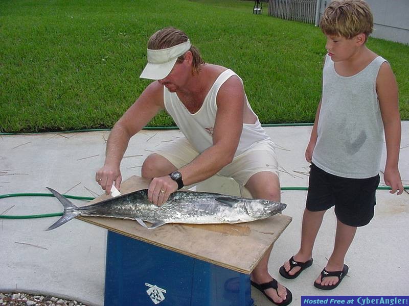 Slaynfilet - Kingfish