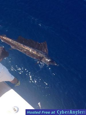 Fishing off Miami, FL