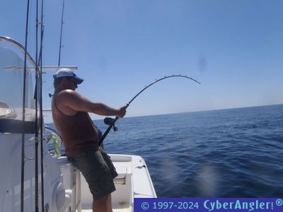 Click to Enlarge Photo