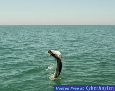 Click to Enlarge Photo