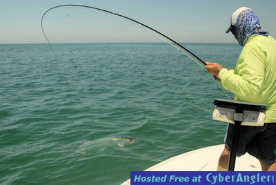 Click to Enlarge Photo