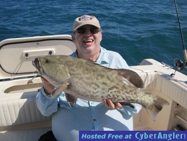 31-inch gag grouper, released