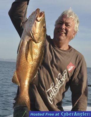 Click to Enlarge Photo