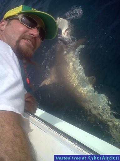 shark_mark_3_