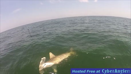 Jacksonville fishing