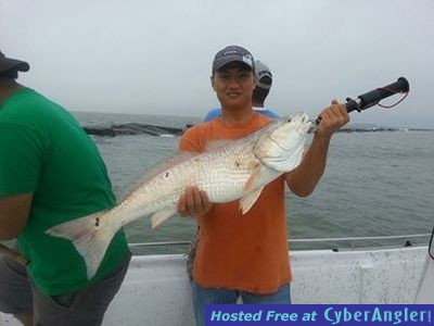 Big Galveston Redfish