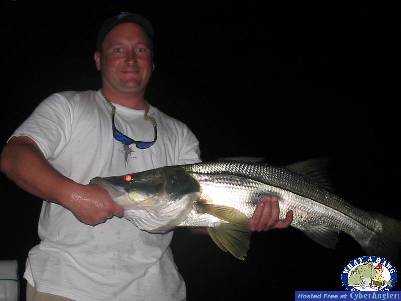 Big Night Snook