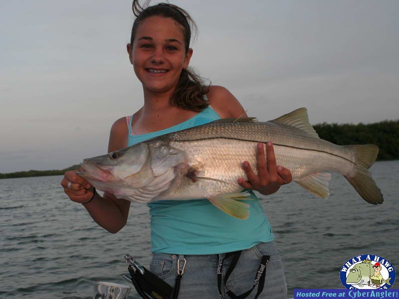 Inshore Snook