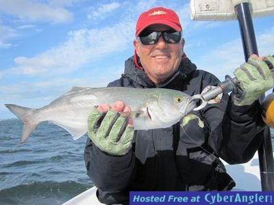 Click to Enlarge Photo