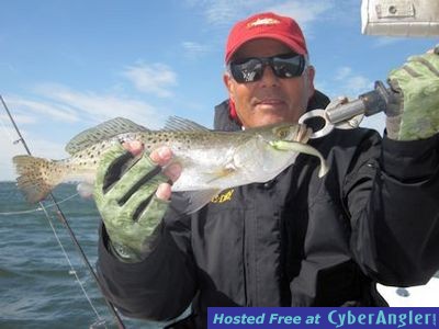 Click to Enlarge Photo