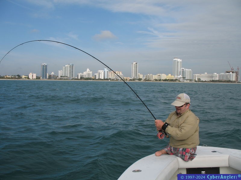 Fly Fishing - Miami Beach
