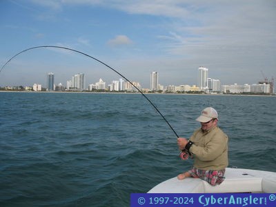 Fly Fishing - Miami Beach