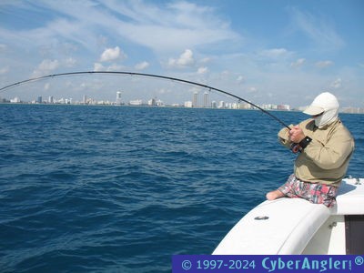 Fly Fishing Off Miami Beach