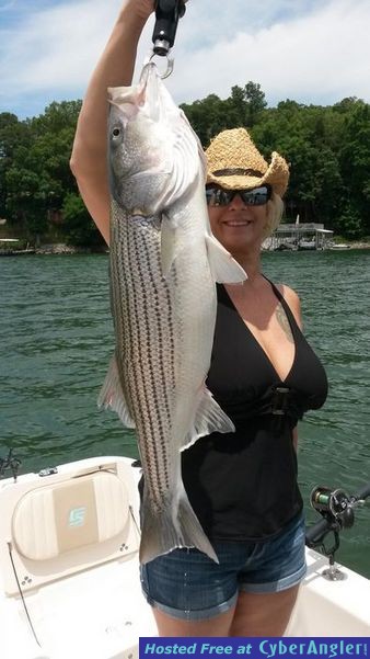 Lake Lanier, GA - Striper Fishing