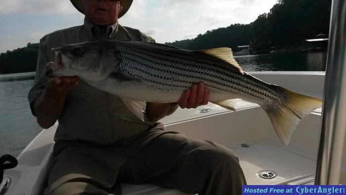 Lake Lanier, GA - Striper Fishing